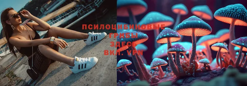 Галлюциногенные грибы Magic Shrooms  mega ТОР  Старая Русса 